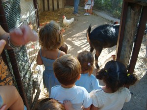 Los niños disfrutan de los animales en nuestra granja escuela