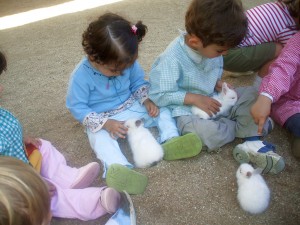 Los niños juegan con los animales en nuestra granja escuela